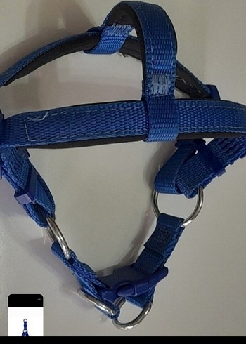 Beden Renk Doggie Havalı Dokuma Royal Mavi 1.5x35-45 cm Köpek Göğüs Tasması
