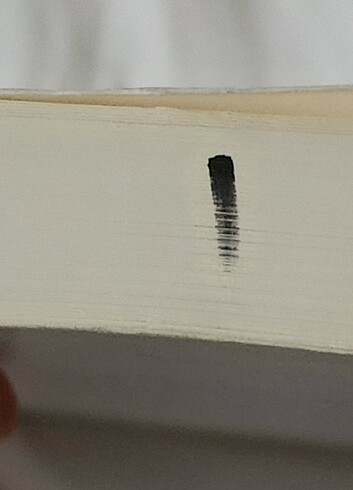 Willkommen in Deutschland-Almanya'ya Hoş geldiniz - Görsel 6