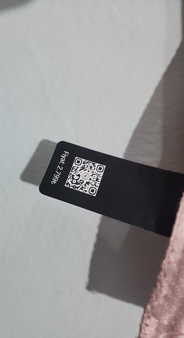 Gül Kurusu Parlak Kadın Şal-Eşarp - Görsel 3