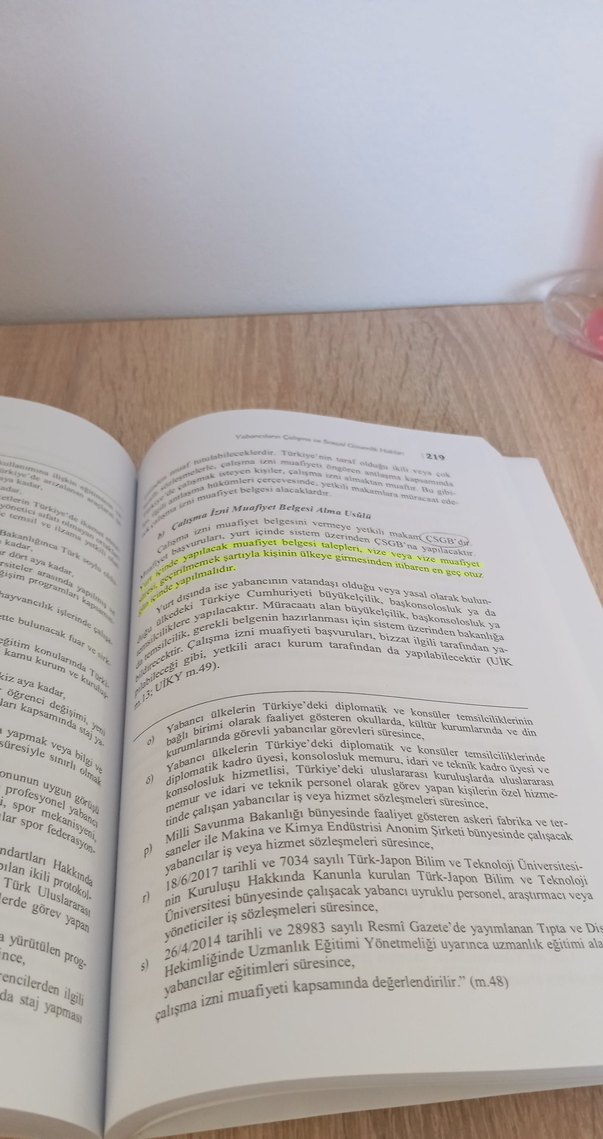 Türk Yabancılar Hukuku Kitabı 7. Baskı - Görsel 3