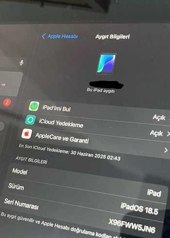 Beden Renk 9. nesil ipad 256 GB uzay grisi