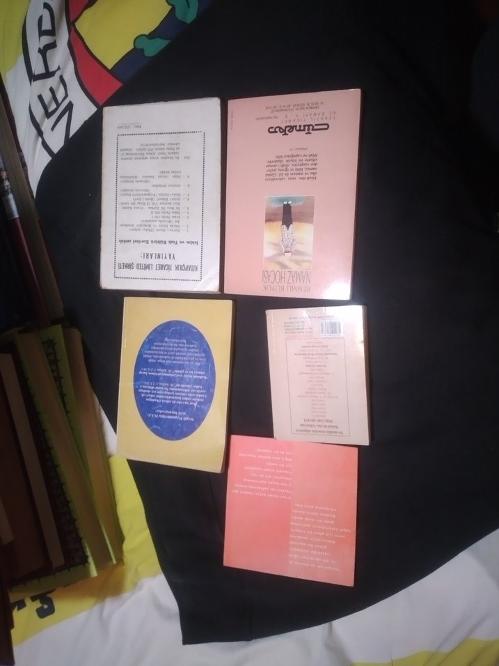 Çeşitli Roman Kitapları Seti tamamı - Görsel 4