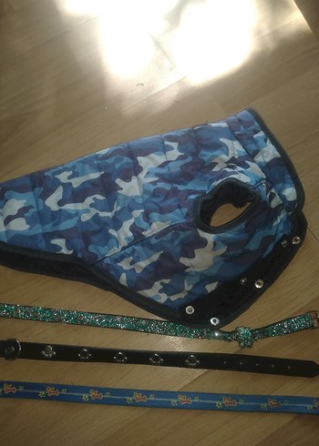 Çok Renkli Köpek Tasmaları ve Göğüs Tasması - Görsel 3