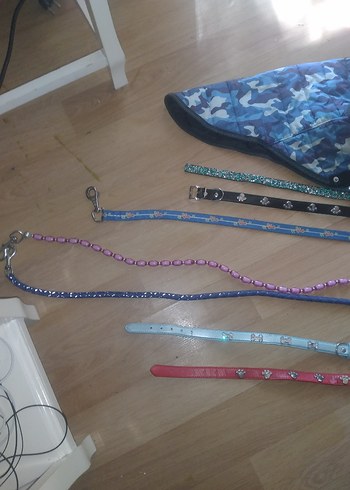 Çok Renkli Köpek Tasmaları ve Göğüs Tasması - Görsel 2