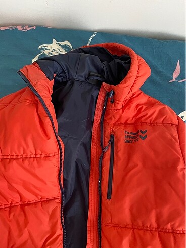 Hummel Montt