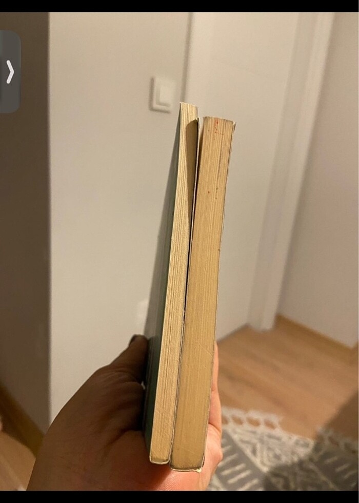 Attila İlhan 2 Kitap - Görsel 3