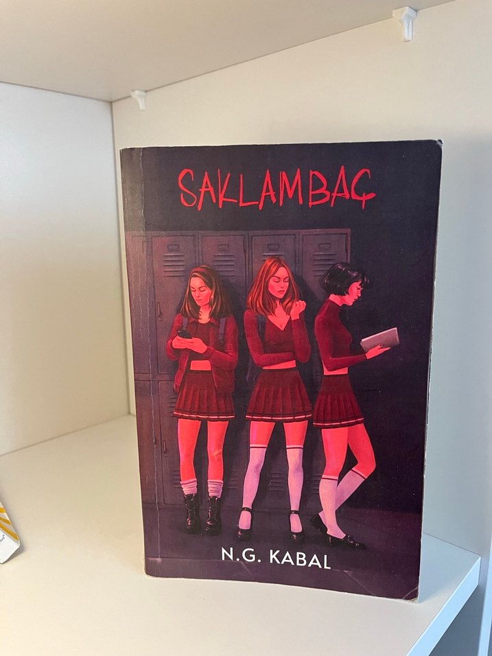 Sobe ve Saklambaç Romanları - N.G. Kabal - Görsel 2