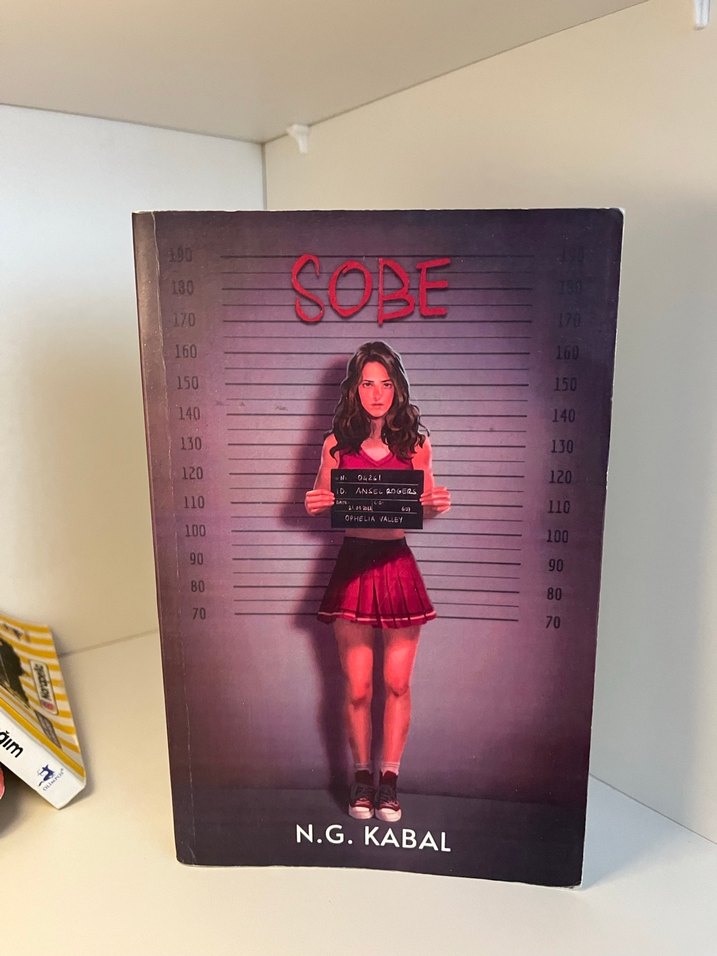 Sobe ve Saklambaç Romanları - N.G. Kabal - Görsel 3