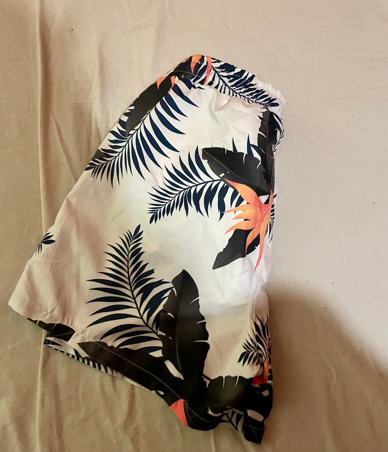 Quicksilver volley erkek şort M beden - Görsel 4