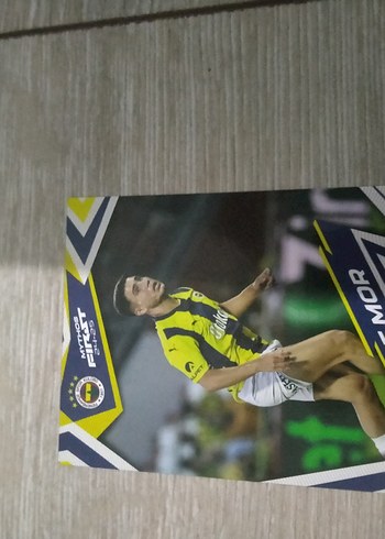 Fenerbahçe Sporcu Kartı