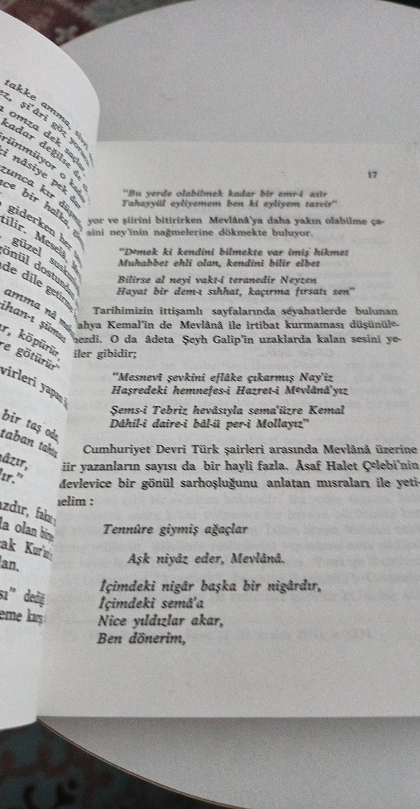 Mevlana ile İlgili Yazılardan Seçmeler - Görsel 2