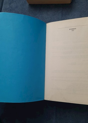 Uyumsuz Defne Kaman'ın Maceraları - Su - Görsel 2