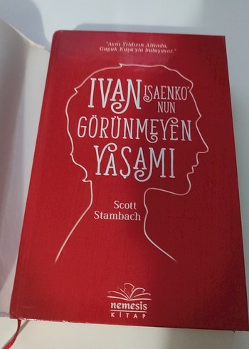 Ivan Isaenko'nun Görünmeyen Yaşamı - Görsel 2