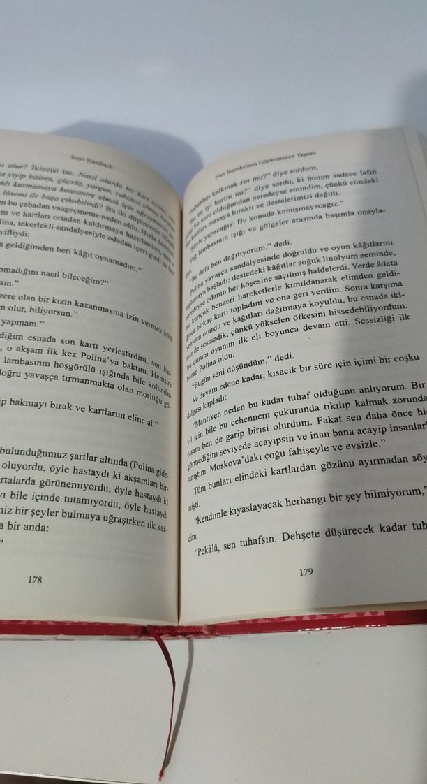 Ivan Isaenko'nun Görünmeyen Yaşamı - Görsel 3