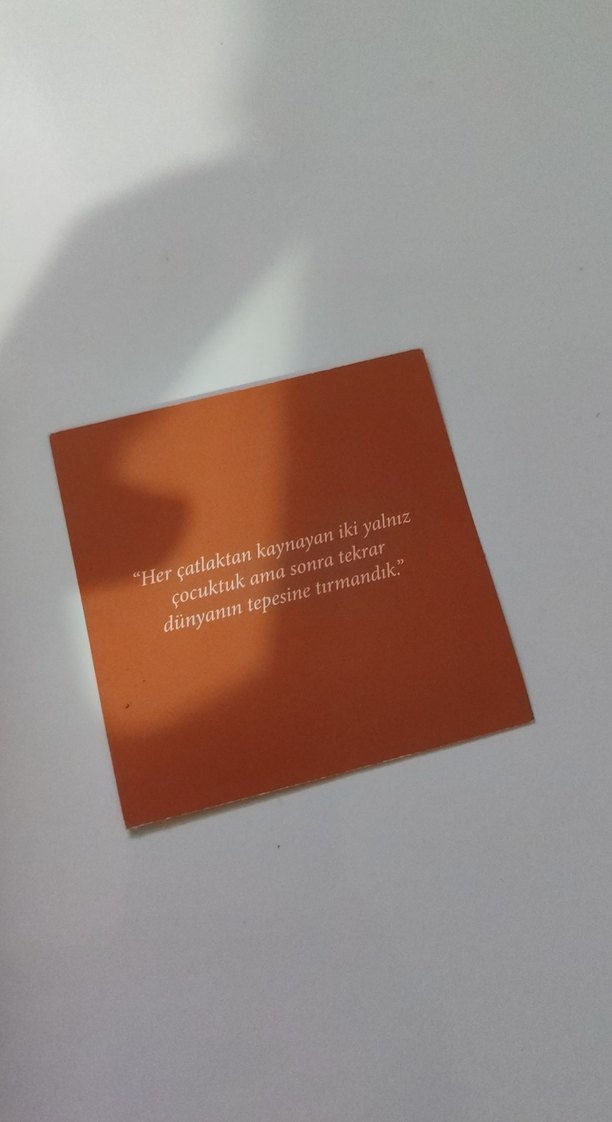 Her Kalp Kurulur - Colleen Hoover - Görsel 2