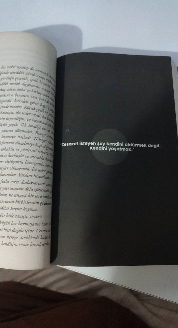 Kar Küresi - Beyza Alkoç - Görsel 2