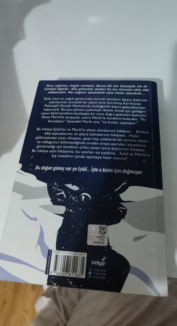 Kar Küresi - Beyza Alkoç - Görsel 3