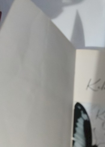 Beyzy Kitap Seti: Kelebek Üçlemesi - Görsel 3