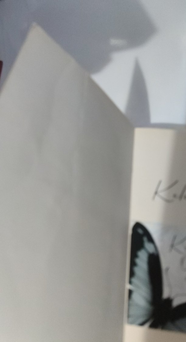 Beyzy Kitap Seti: Kelebek Üçlemesi - Görsel 3