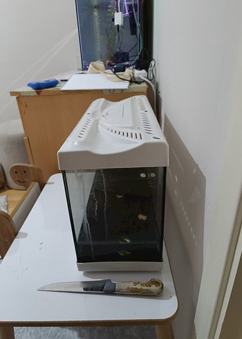 Beyaz Küçük akvaryum - Görsel 2