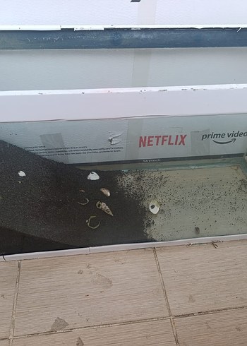 Cam Akvaryum Beyaz Çerçeveli - Görsel 2