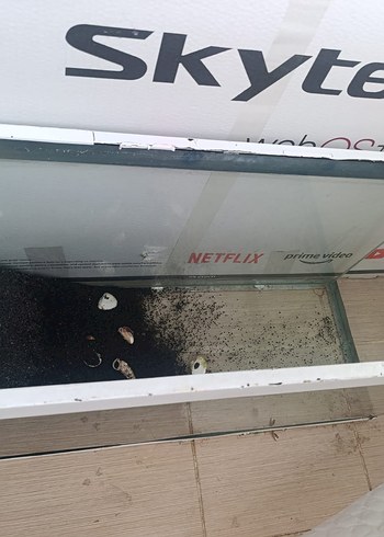 Cam Akvaryum Beyaz Çerçeveli - Görsel 5