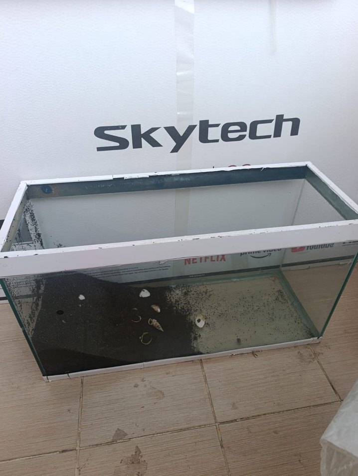 Cam Akvaryum Beyaz Çerçeveli - Görsel 3