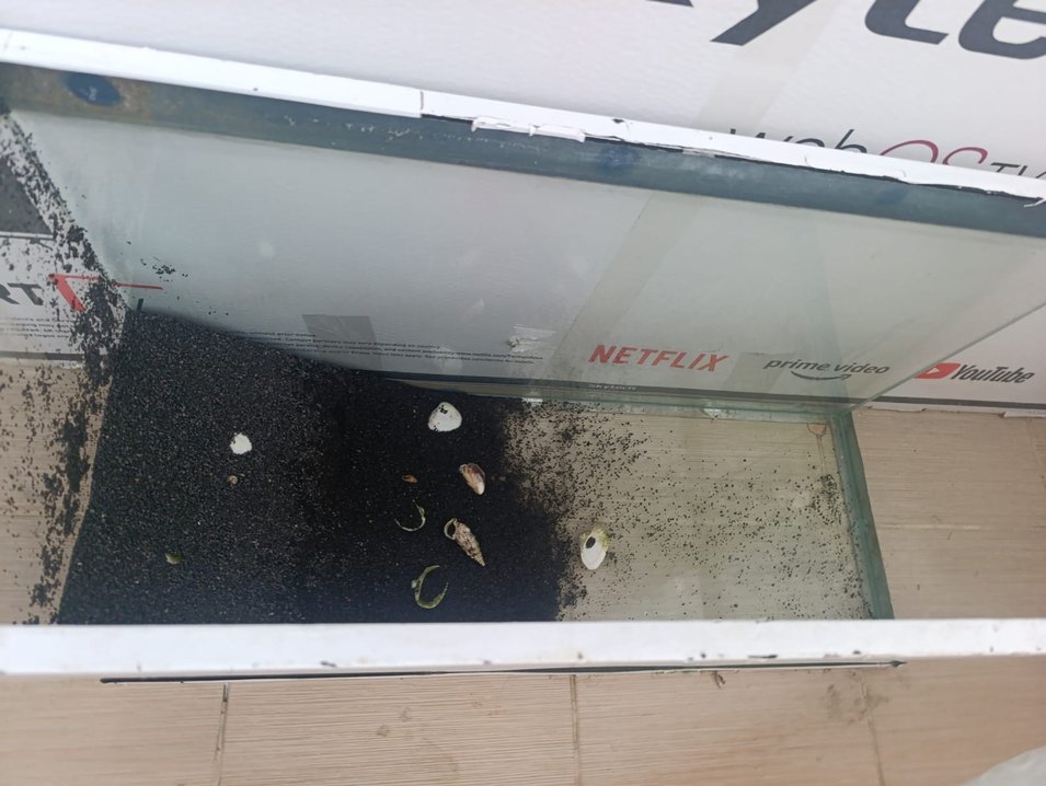 Cam Akvaryum Beyaz Çerçeveli - Görsel 4