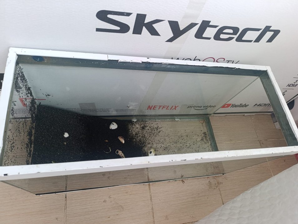 Cam Akvaryum Beyaz Çerçeveli - Görsel 5