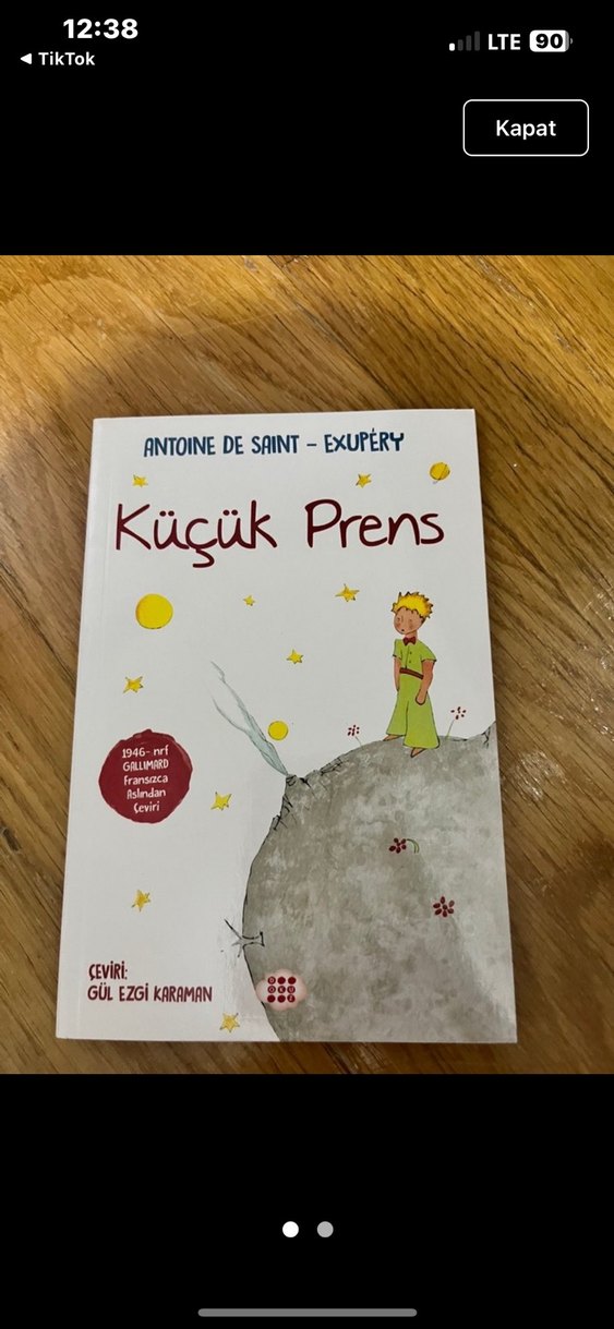 Suna'nın Serçeleri ve Küçük Prens - Görsel 2