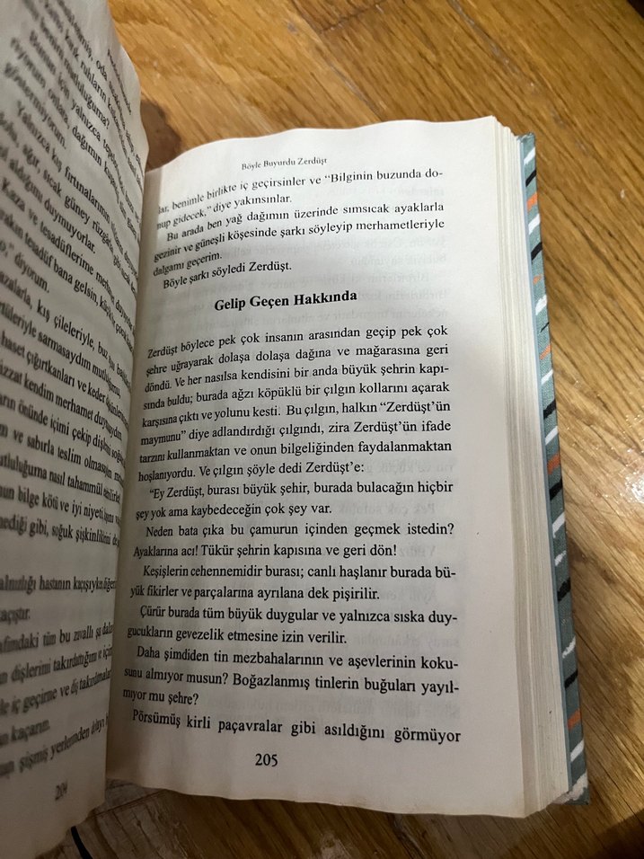 Böyle Buyurdu Zerdüşt - Friedrich Nietzsche - Görsel 2