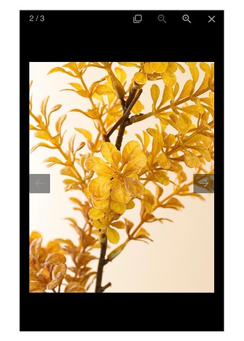 Hardal Sarısı Yapay Çiçekler - Görsel 6