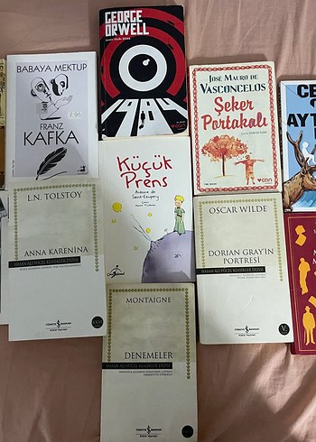 Klasik Romanlar ve Denemeler Seti