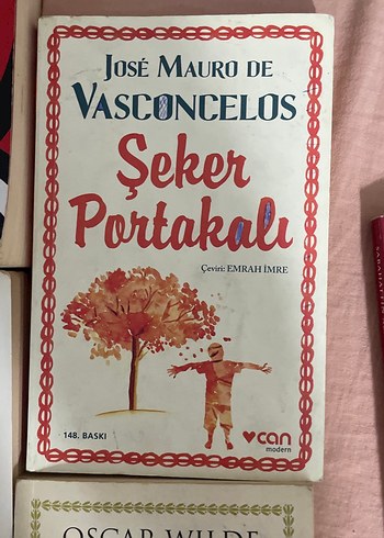 Klasik Romanlar ve Denemeler Seti - Görsel 5