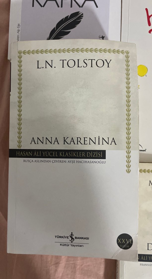 Klasik Romanlar ve Denemeler Seti - Görsel 2