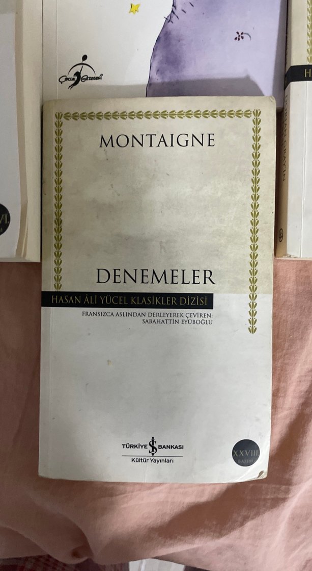 Klasik Romanlar ve Denemeler Seti - Görsel 3