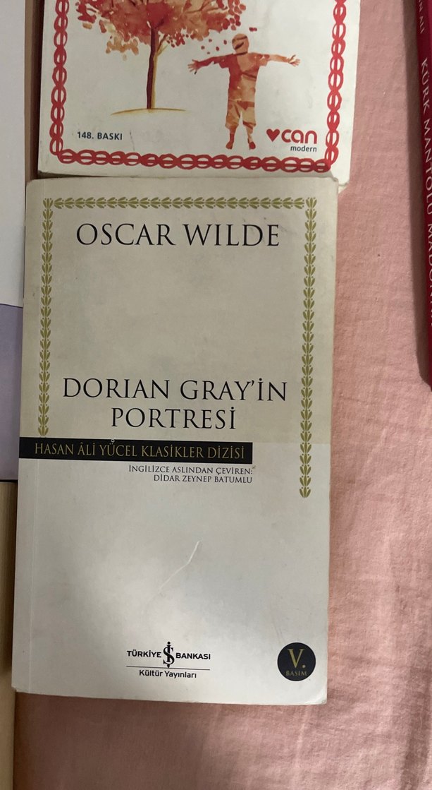 Klasik Romanlar ve Denemeler Seti - Görsel 4