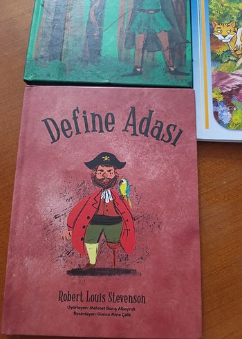 Çocuk Kitapları Seti: Robin Hood, Define Adası, Ormanın Çocuğu - Görsel 2