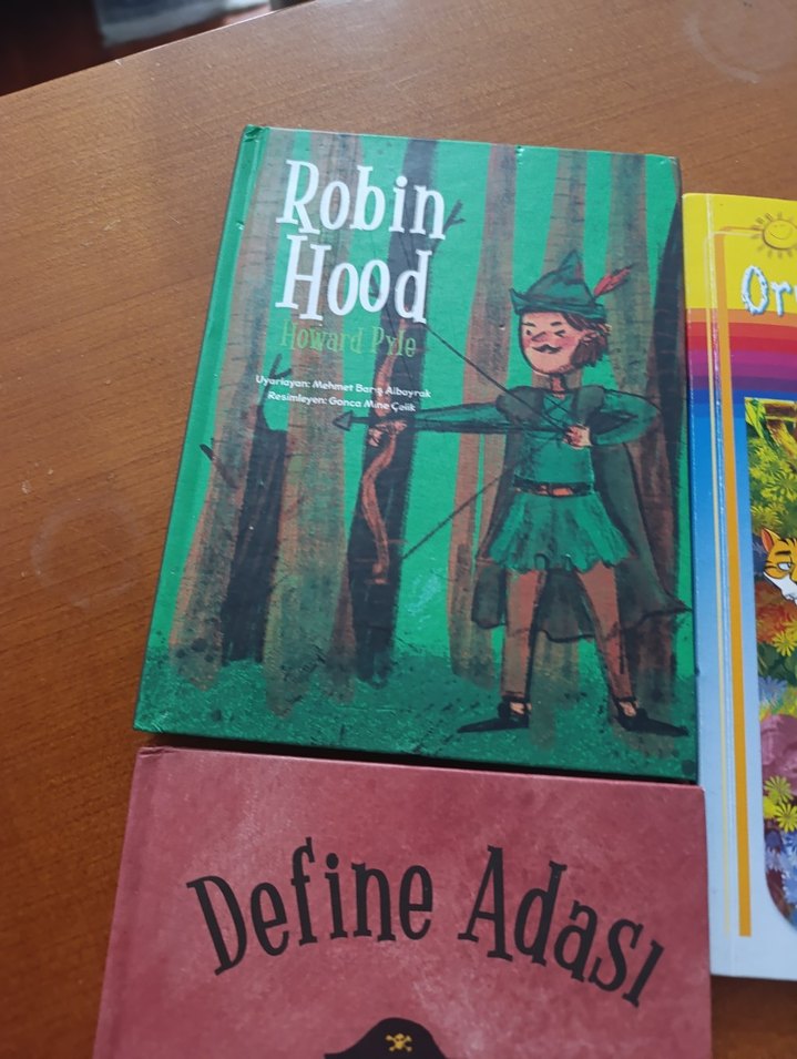 Çocuk Kitapları Seti: Robin Hood, Define Adası, Ormanın Çocuğu - Görsel 3