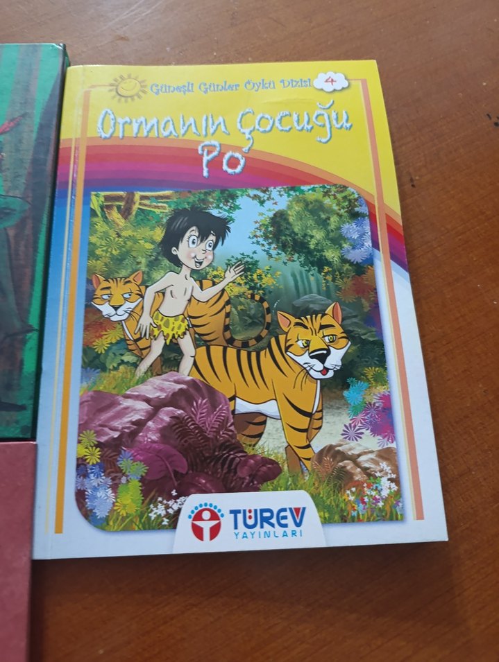 Çocuk Kitapları Seti: Robin Hood, Define Adası, Ormanın Çocuğu - Görsel 4