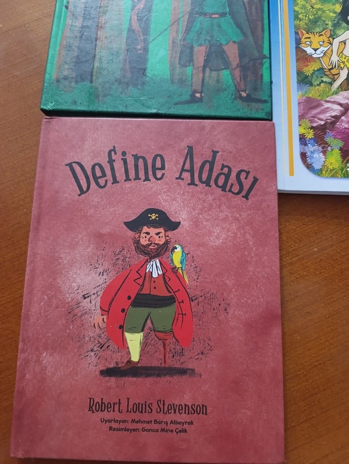 Çocuk Kitapları Seti: Robin Hood, Define Adası, Ormanın Çocuğu - Görsel 2