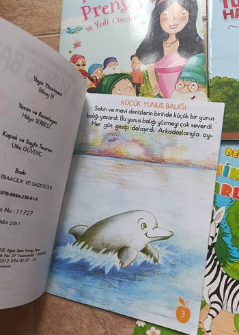 Renkli İlk Okuma Kitapları Seti - Görsel 4