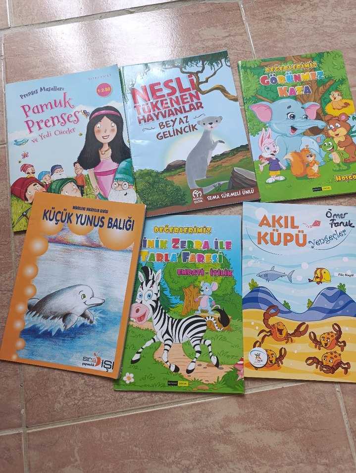 Renkli İlk Okuma Kitapları Seti - Görsel 3