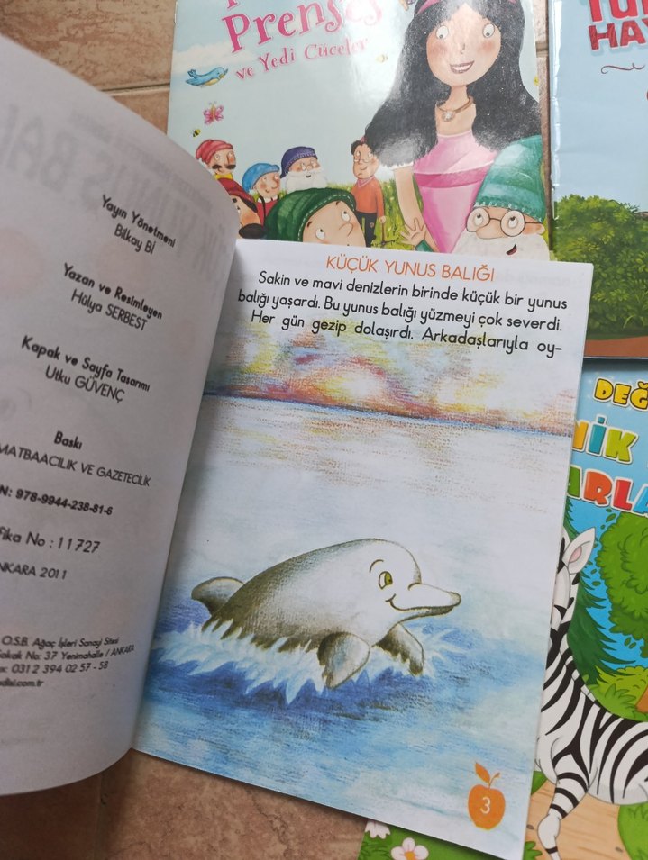 Renkli İlk Okuma Kitapları Seti - Görsel 4