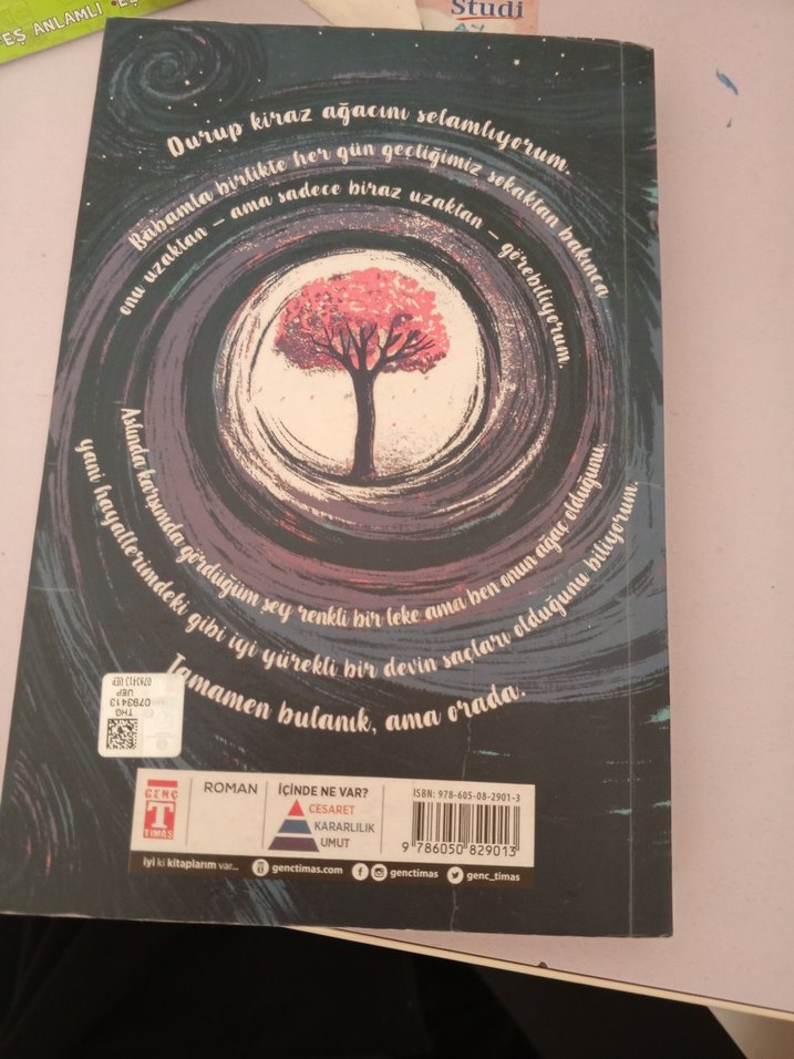 Kiraz Ağacı ile Aramızdaki Mesafe - Paola Peretti - Görsel 2