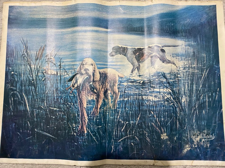 Köpek Temalı yağlı boya tablo - Görsel 2