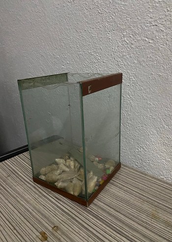 Bej Cam Küçük akvaryum