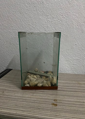 Bej Cam Küçük akvaryum - Görsel 2