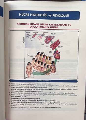 Tusdata Entegre Takım