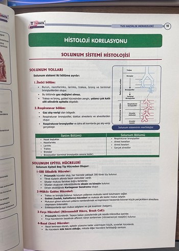 Tusdata Entegre Takım